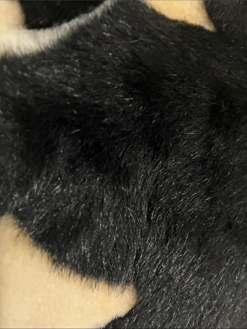 Angeltoy - CLINGING KTTY CAT PILLOW - Picture 6 of 9